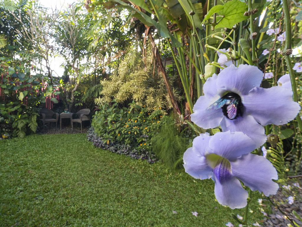Shinta Dewi By Sanga Sanga Hospitality Pousada